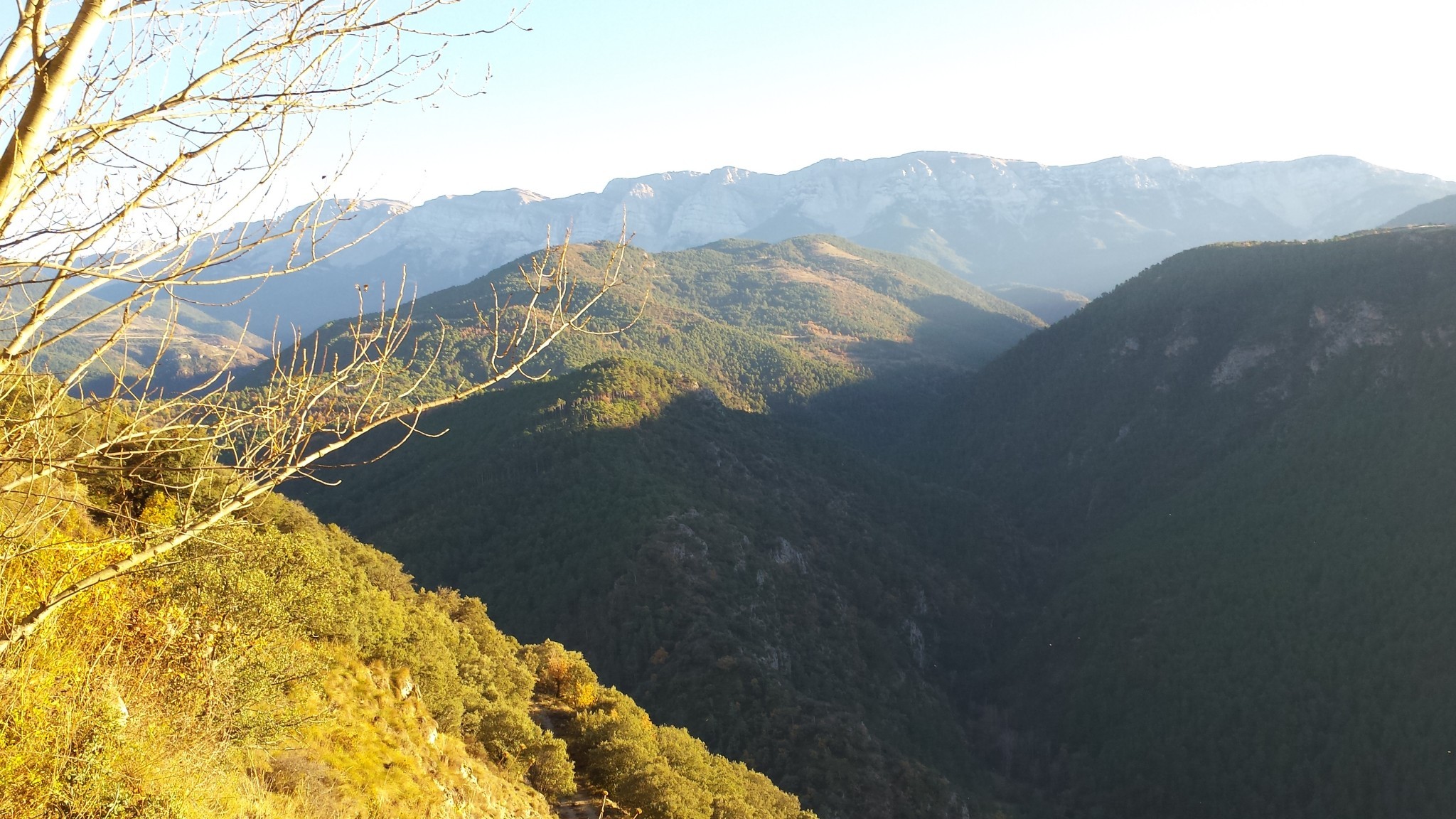Pineo Mineralwasser direkt aus den Bergen