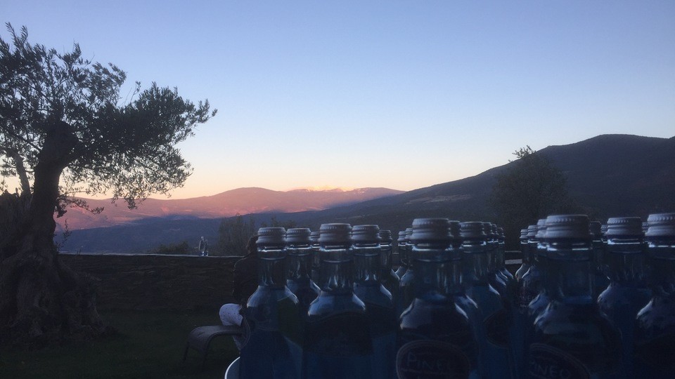 Pineo mineral water served in a glass bottle