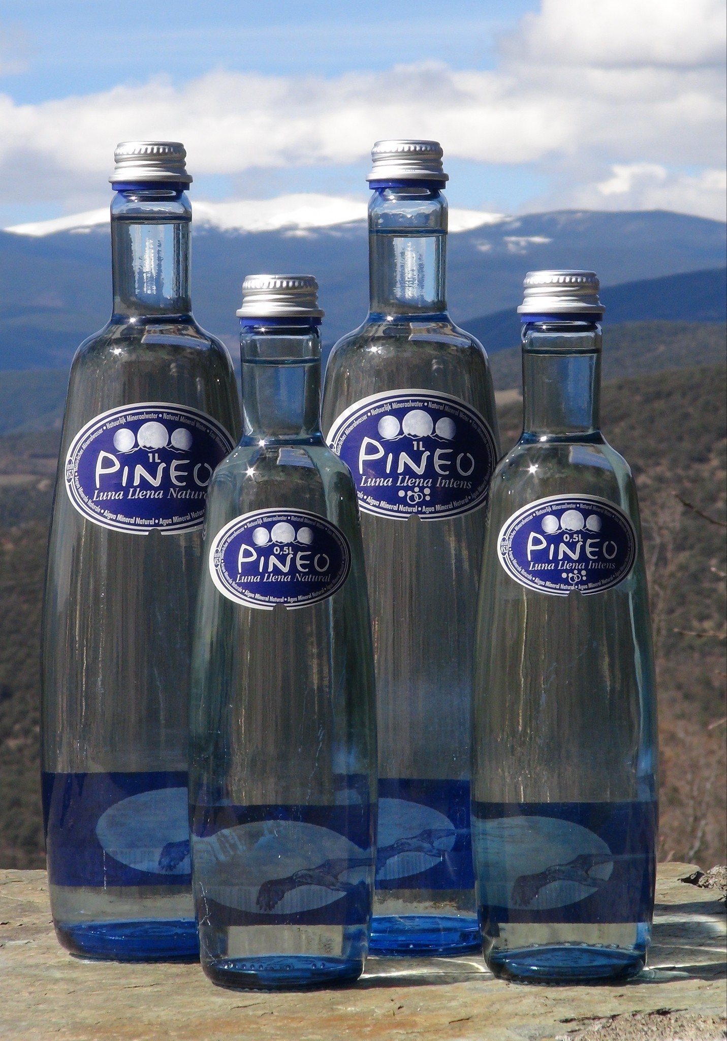 Pineo water range in 1 l glass bottles