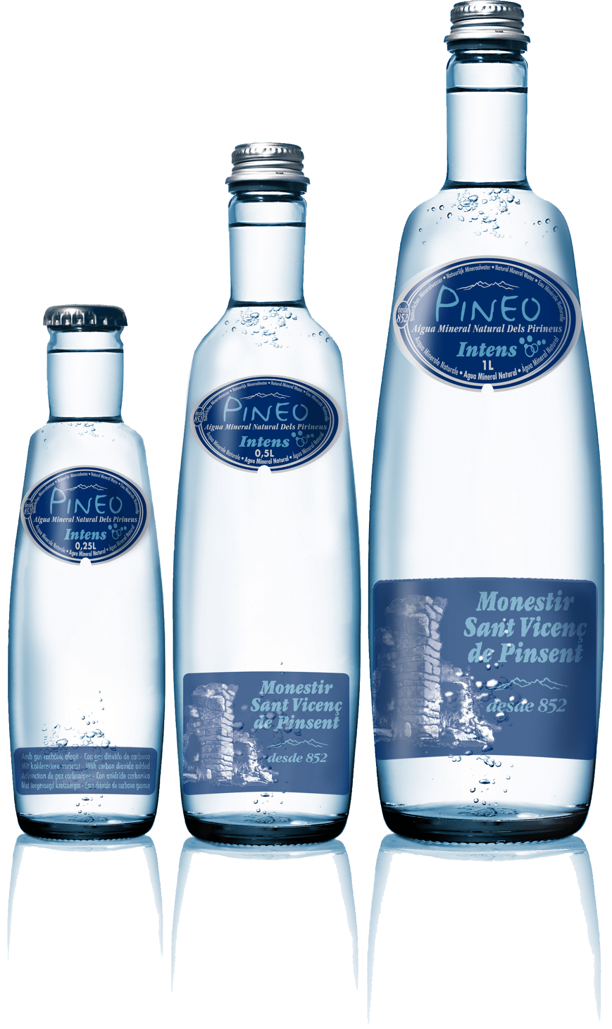 Pineo Intens, Wasser mit Kohlensäure