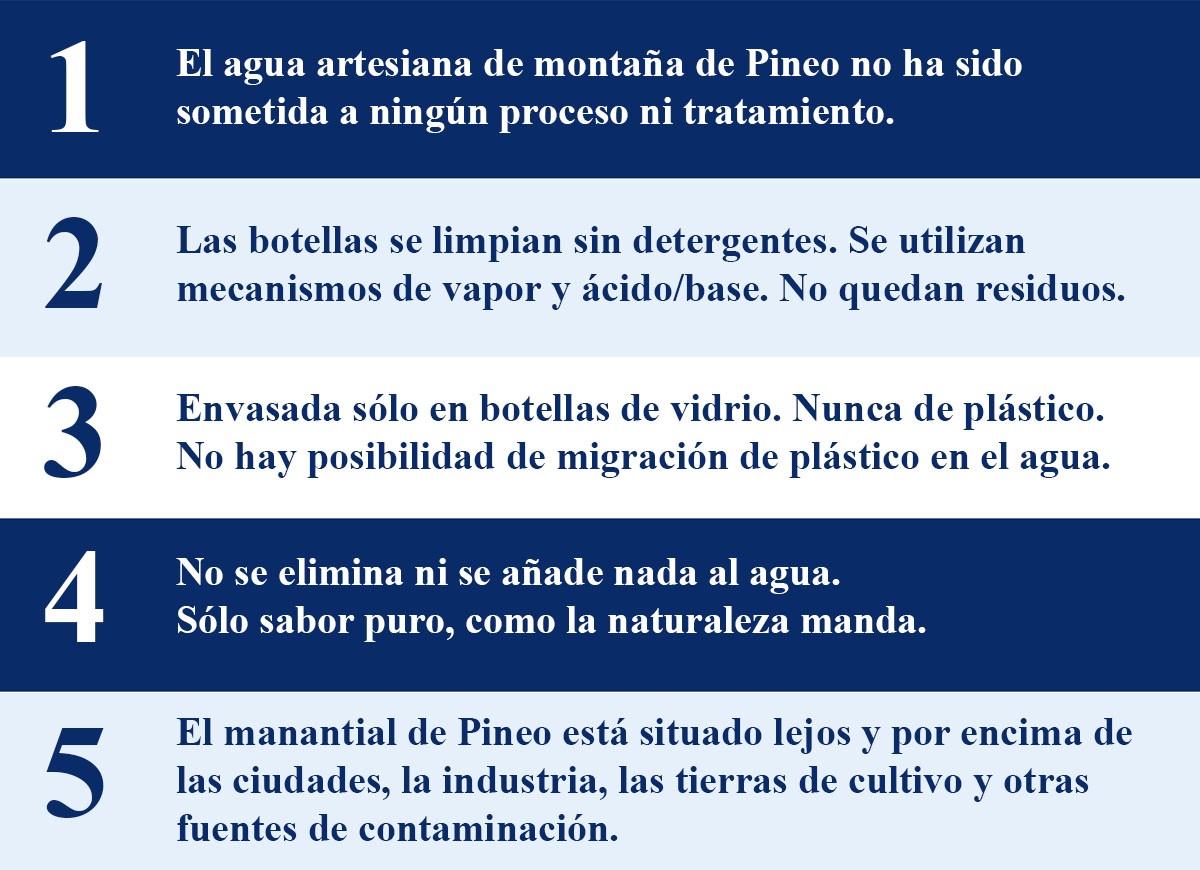 5 razones por las que Pineo es genial