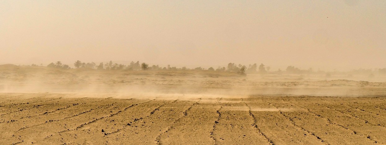 Plaines sèches dues à la sécheresse persistante