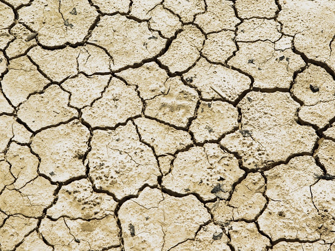 Dry soil due to persistent drought