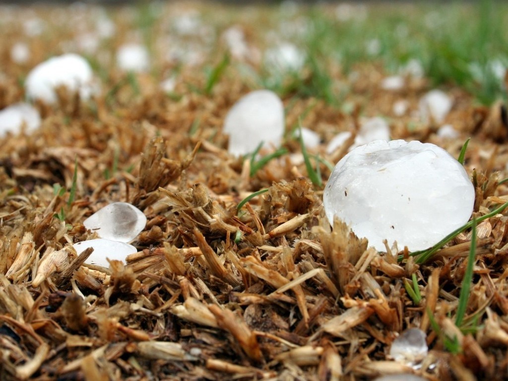 Large hail stones due to global warming.