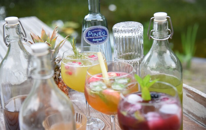 Pineo Mocktails