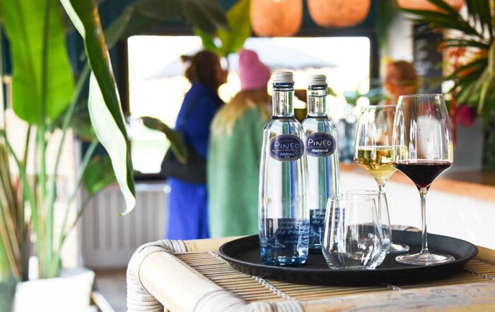 Hoe serveer je Pineo mineraalwater?