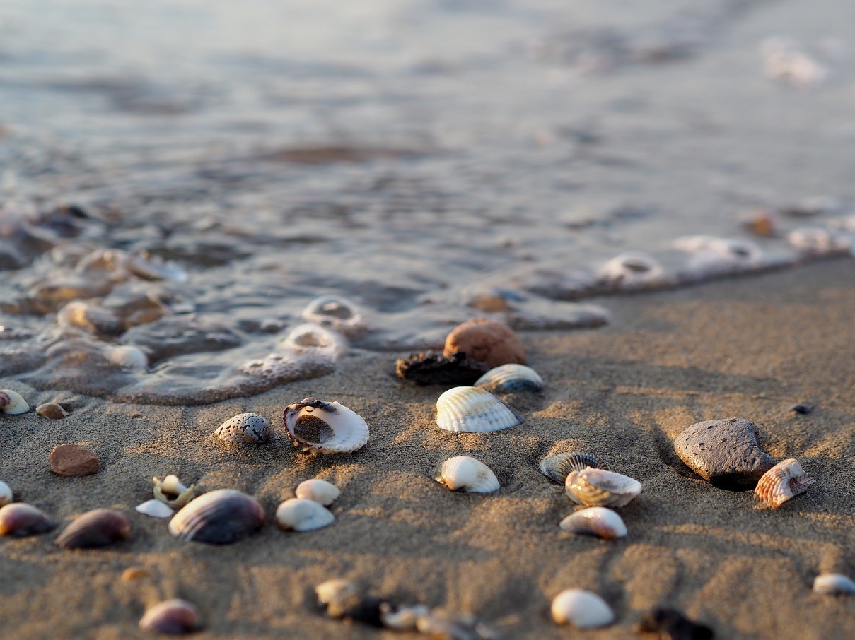 Zee water op het strand met schelpjes. Zoutwater als drinkwater.