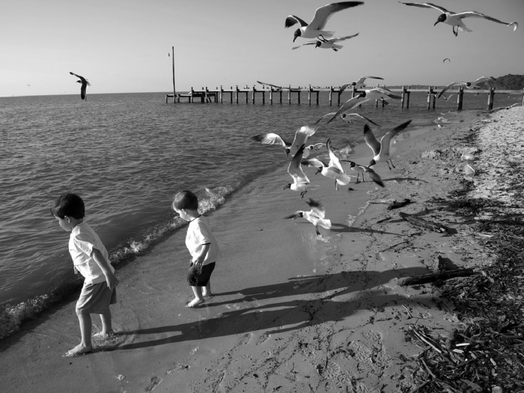 Kinderen en meeuwen spelen in de branding van de zee. Een zee vol microplastics.