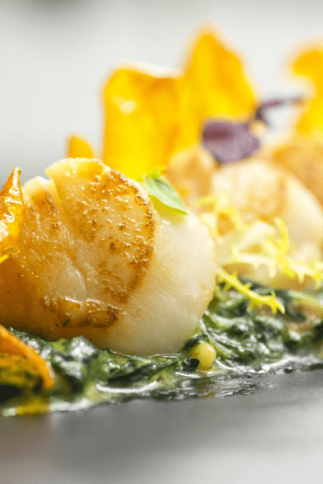 scallops-foto-4-finca-prats-e1530177276202