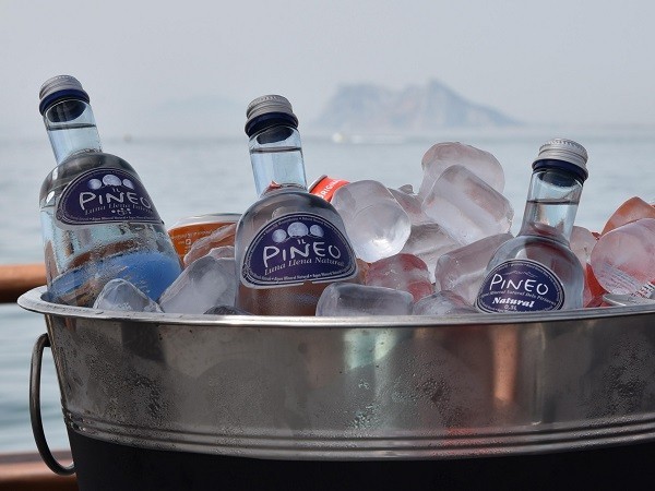 An ice bucket filled with Pineo water