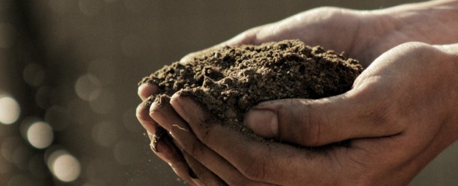 L'aigua mineral natural rep el seu sabor particular de la font i la regió de procedència, pel sòl.
